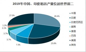 2021-2027年中國稻谷及其種業市場全景調查與市場分析預測報告