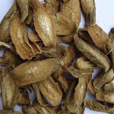 中藥材牛蒡根功效詳解