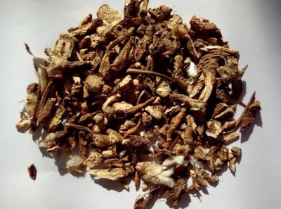 中藥白頭翁的功效與作用詳解