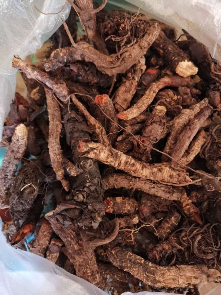 三好中藥材供應(yīng) 優(yōu)質(zhì)巖白菜的行業(yè)標(biāo)桿